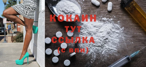 твердый Белокуриха